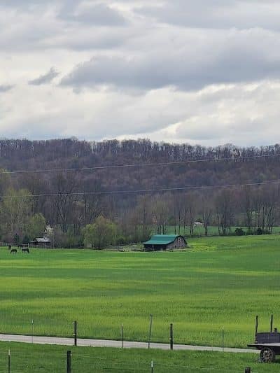 Pike Lake State Park - Bainbridge, OH