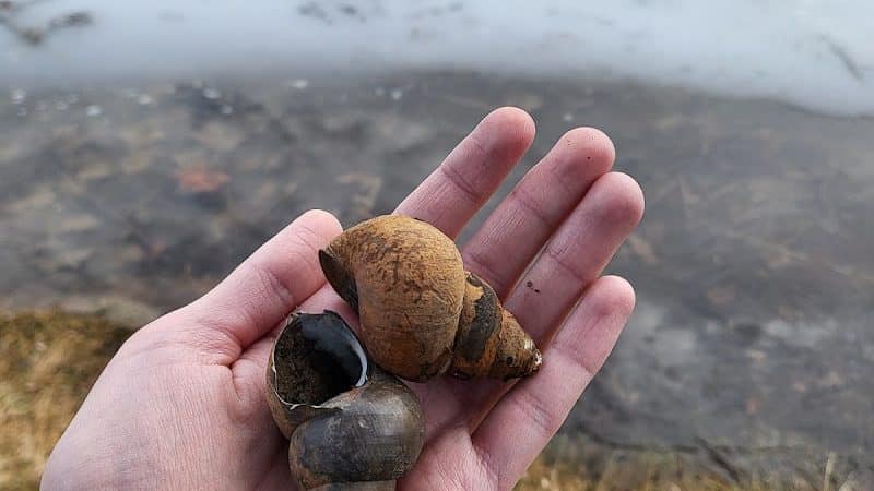 Pike Lake State Park - Bainbridge, OH