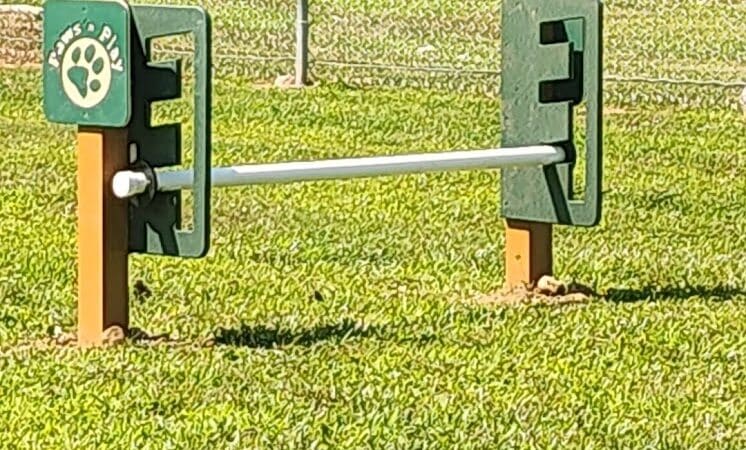 Romp and Play Dog Park - Ballston Spa, NY