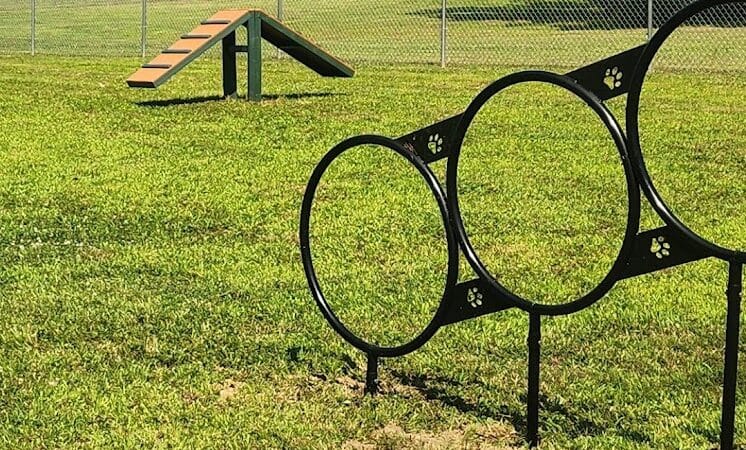 Romp and Play Dog Park - Ballston Spa, NY