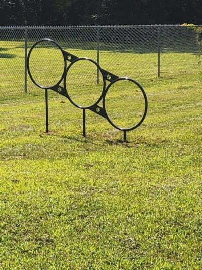 Romp and Play Dog Park - Ballston Spa, NY