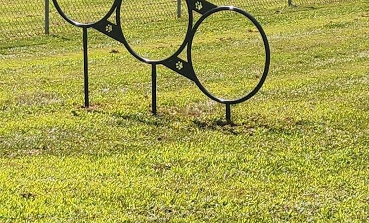 Romp and Play Dog Park - Ballston Spa, NY