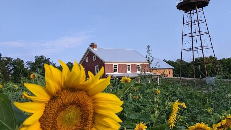 Smeck Park - Baltimore, OH