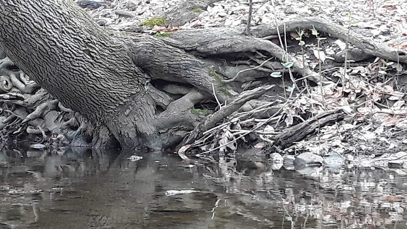 Breitenstine Park - Barberton, OH