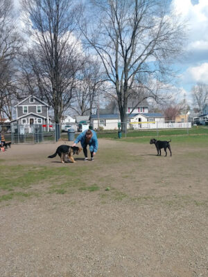 Decker Park