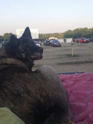 Magic City Drive In
