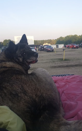 Magic City Drive In