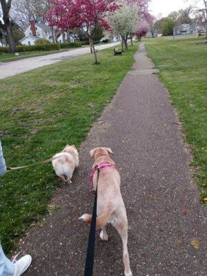Tuscora Park
