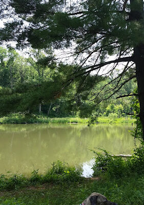 Barnesville Parks and Recreation Center