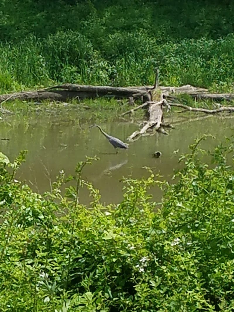 Barnesville Parks and Recreation Center - Barnesville, OH