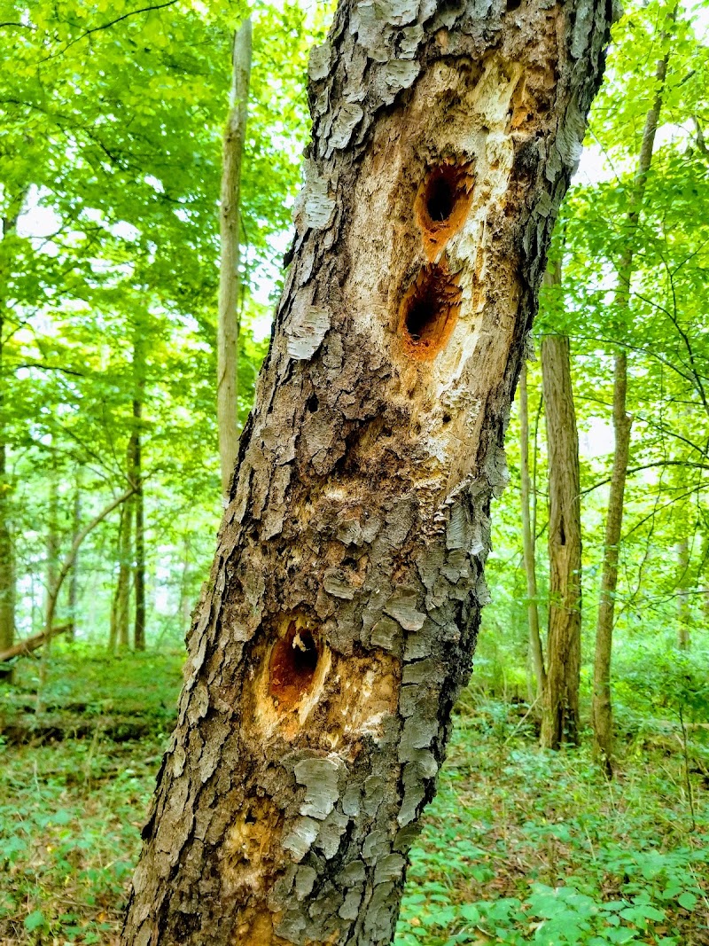 Barnesville Parks and Recreation Center - Barnesville, OH