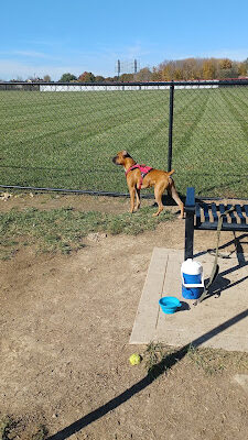 David J Stricker Dog Park