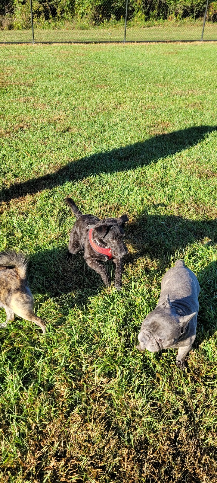 David J Stricker Dog Park - Batavia, OH