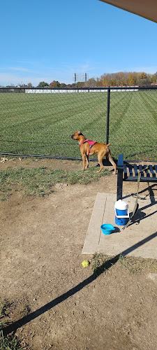 David J Stricker Dog Park