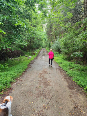 East Fork Lake State Park Bridle Trail Parking