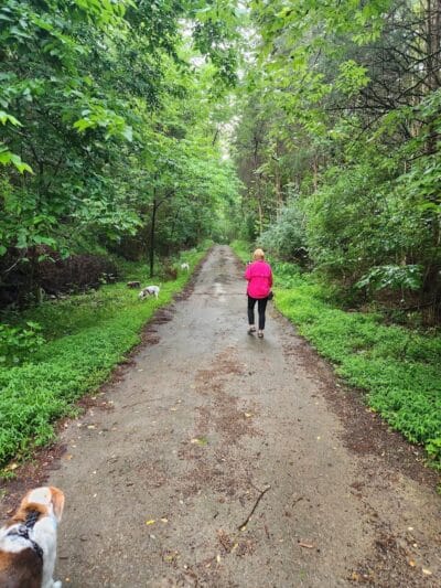 East Fork Lake State Park Bridle Trail Parking - Batavia, OH