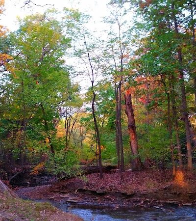 Reese Park - Bay Village, OH