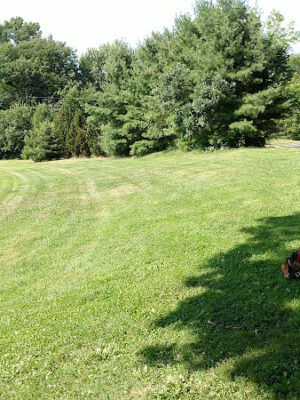 Reese Park