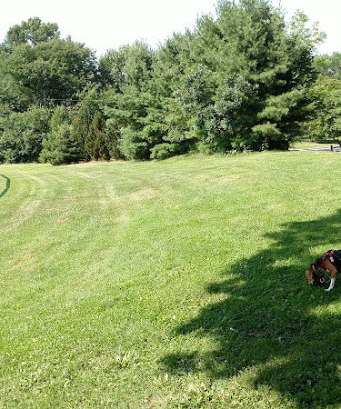 Reese Park