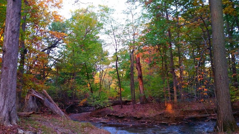 Reese Park - Bay Village, OH