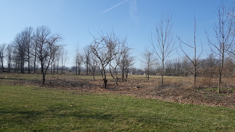 Walker Road Park - Bay Village, OH