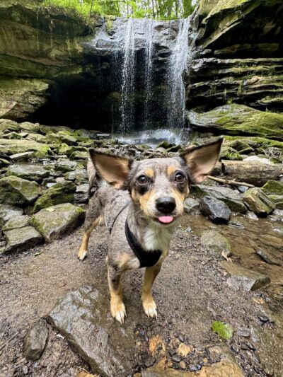 Dundee Falls Trail Head A - Beach City, OH