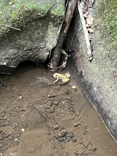 Dundee Falls Trail Head A - Beach City, OH