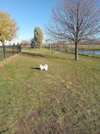 Beaver Dam Small Dog Park - Beaver Dam, WI