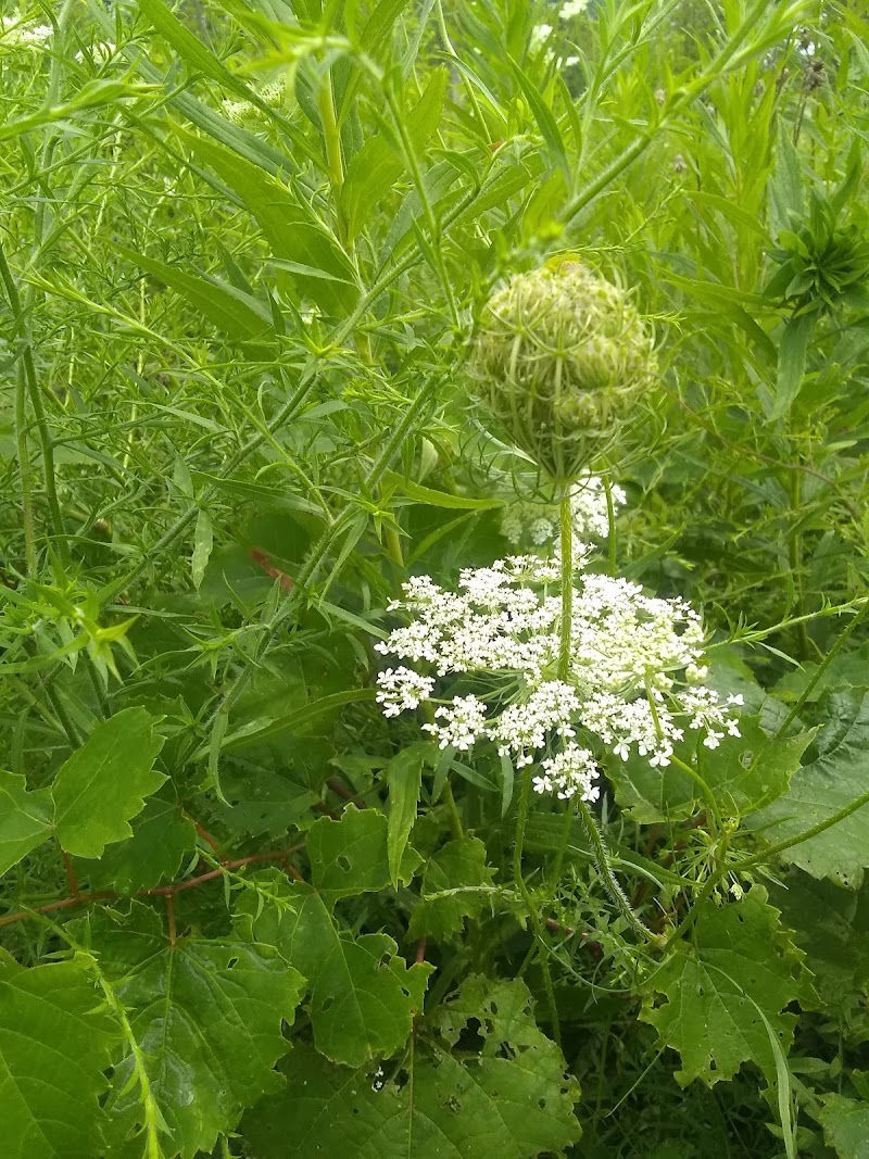 Gerspacher Park - Beavercreek, OH
