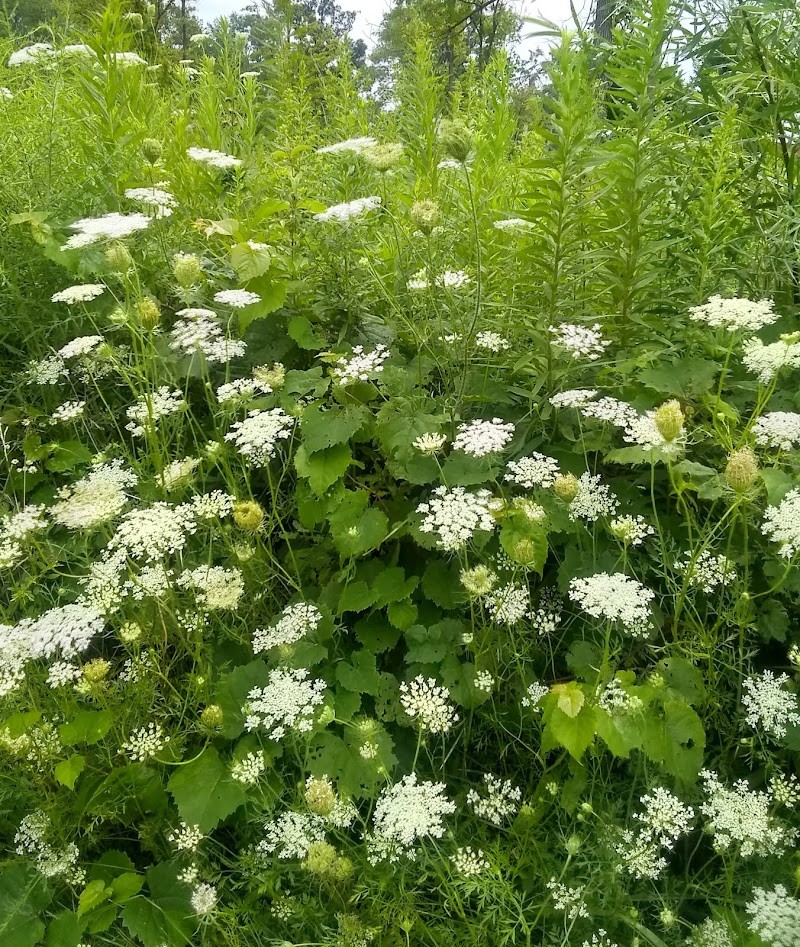 Gerspacher Park - Beavercreek, OH