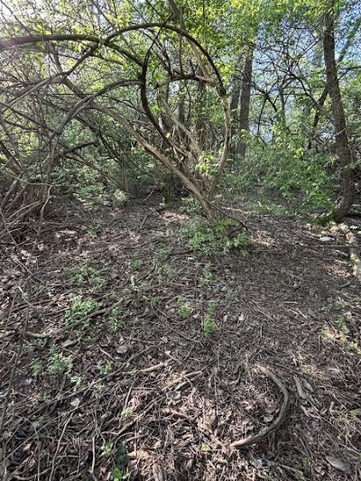 Grangeview Acres Park - Beavercreek, OH