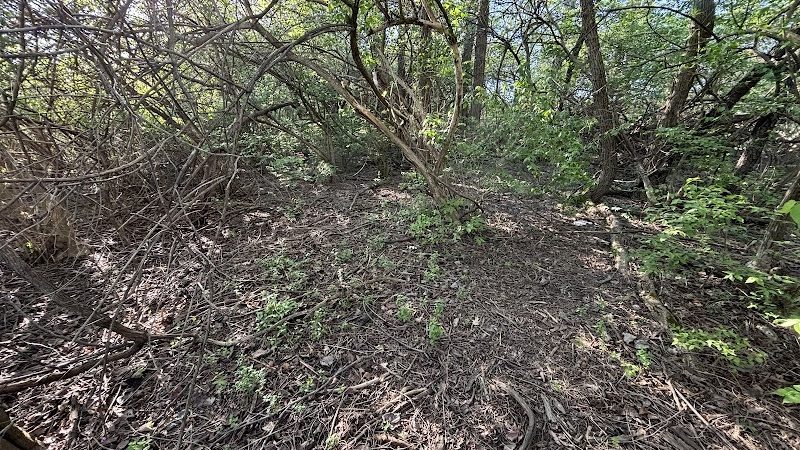 Grangeview Acres Park - Beavercreek, OH