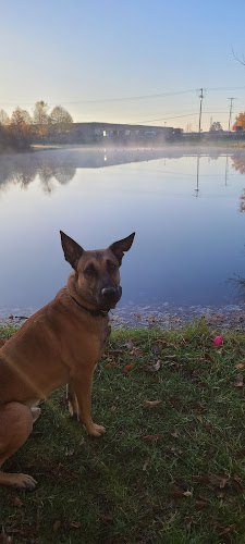 Phillips Park