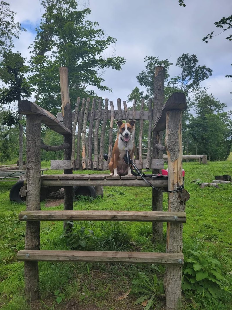 Russ Nature Reserve - Beavercreek, OH