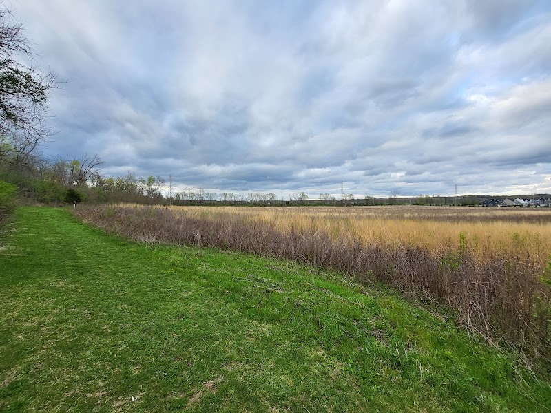 Russ Nature Reserve - Beavercreek, OH