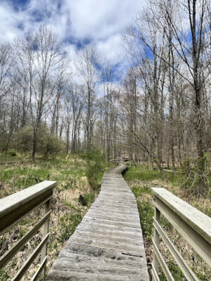 Forbes Woods Picnic Area