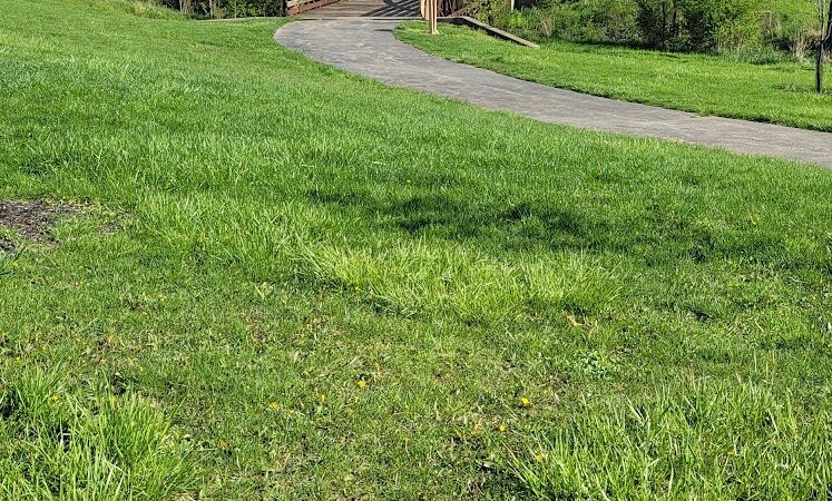 Bedford Parks and Recreation Department - Bedford, OH