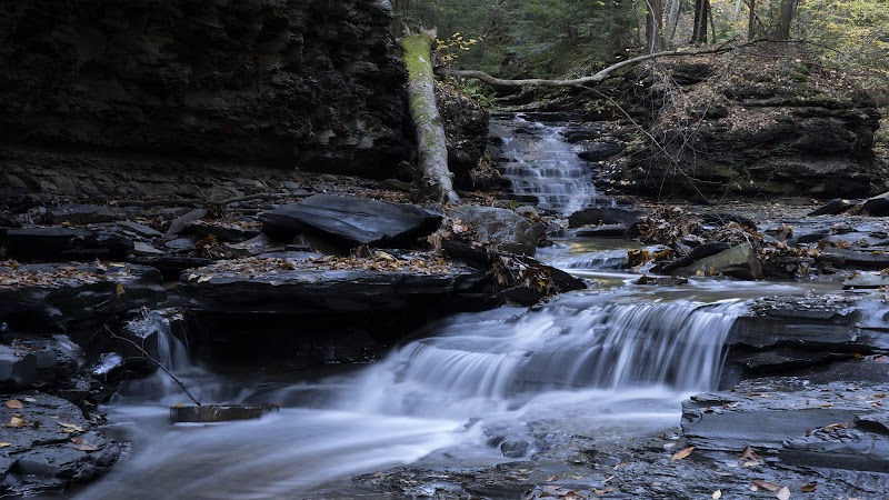 Bedford Reservation - Bedford, OH