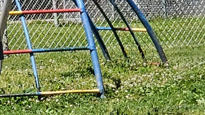 Taft Park - Bedford, OH
