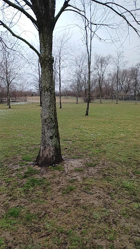 Bellevue Dog Park