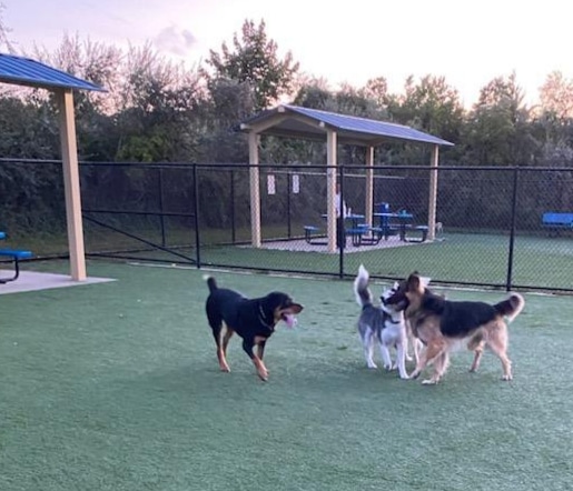 Town of Hempstead Dog Park - Bellmore, NY
