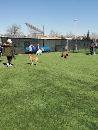 Town of Hempstead Dog Park - Bellmore, NY