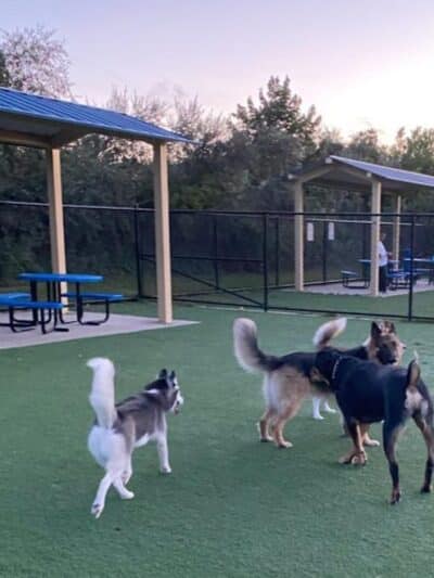 Town of Hempstead Dog Park - Bellmore, NY