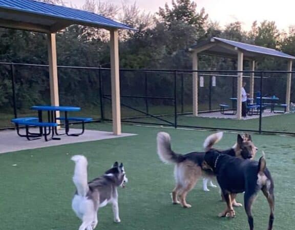 Town of Hempstead Dog Park - Bellmore, NY