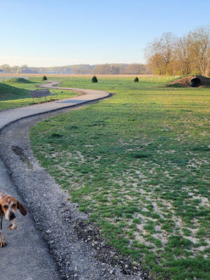 Bellville Dog Park Finnigans Run