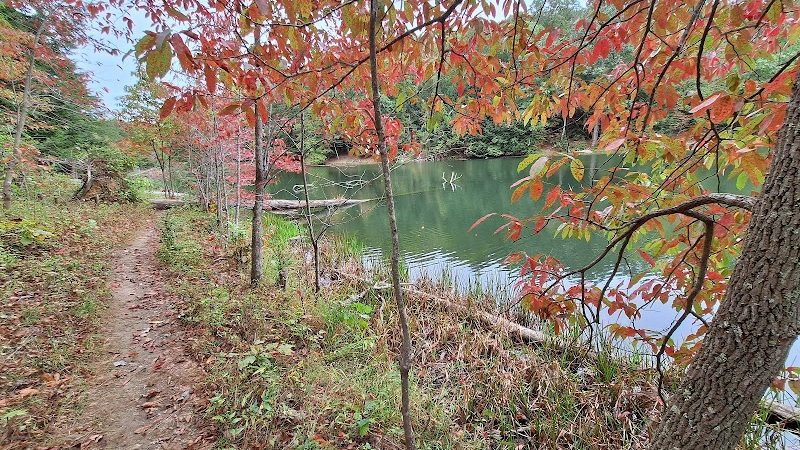 Rose Lake Trail - Benton Township, OH