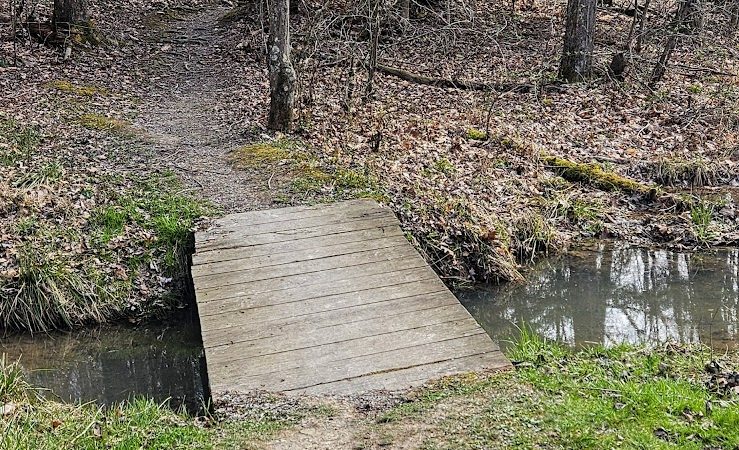 Rose Lake Trail - Benton Township, OH
