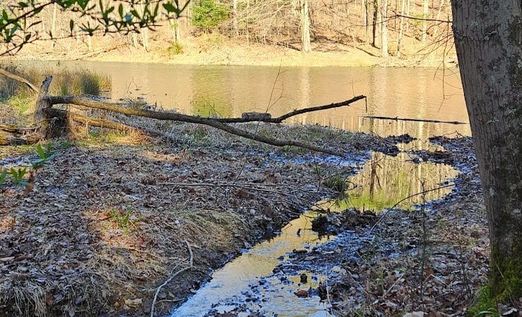 Rose Lake Trail - Benton Township, OH
