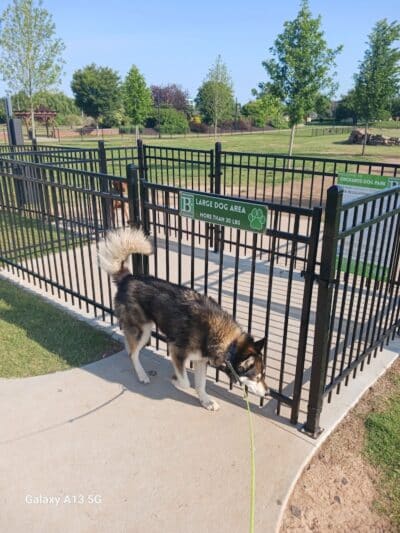 Bentonville Dog Park - Bentonville, AR
