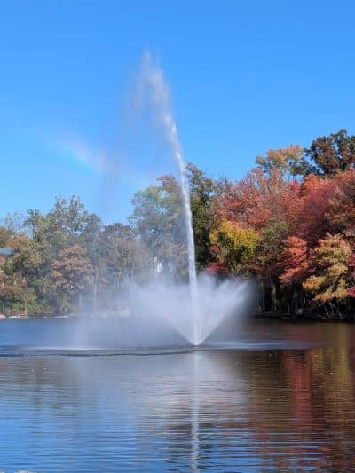 Coe Lake Gazebo - Berea, OH